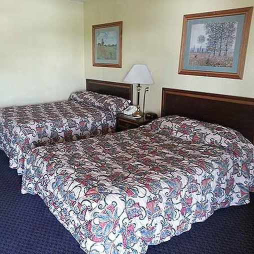 Red Roof Inn Реддинг Номер фото